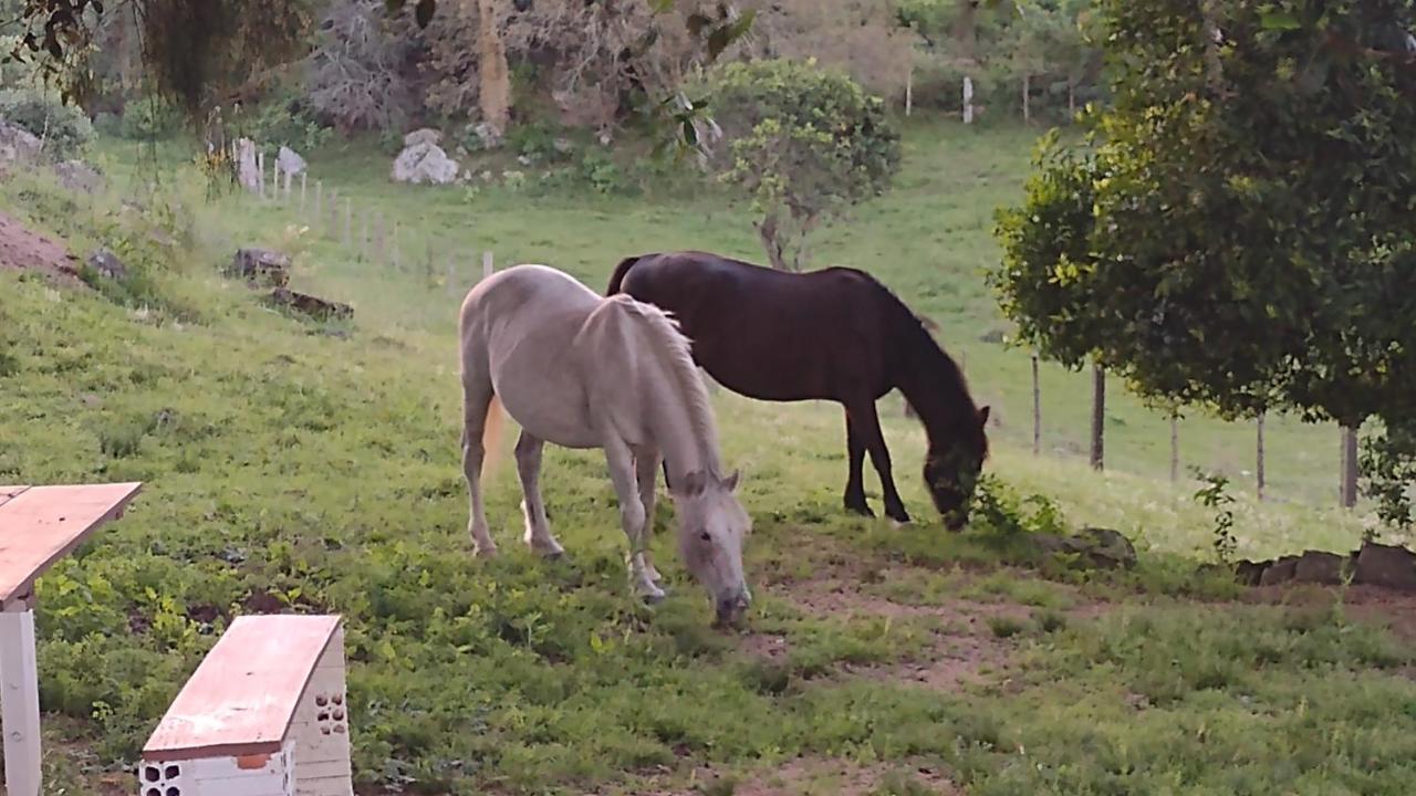 فيلا Casa & Chale Em Morro Redondo Rs المظهر الخارجي الصورة